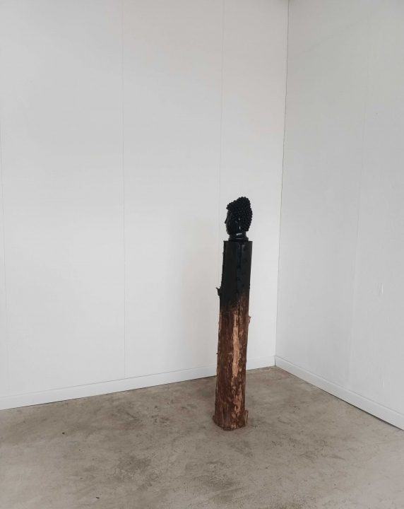 http://alexandremelay.com/files/gimgs/th-65_recarnation 2.jpg