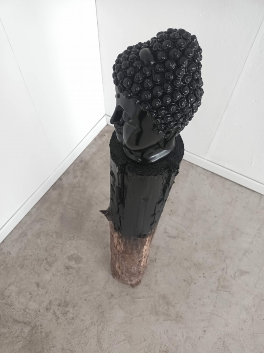 http://alexandremelay.com/files/gimgs/th-65_recarnation2026.jpg