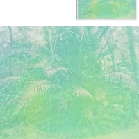 http://alexandremelay.com/files/dimgs/thumb_1x200_2_62_755.jpg